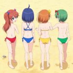 Swimsuit Vibros Gacha: Will They Be Included in ★3 Character Exchange Tickets for the 4.5 Anniversary Event?